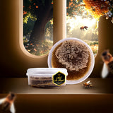 Honey Comb Emarati